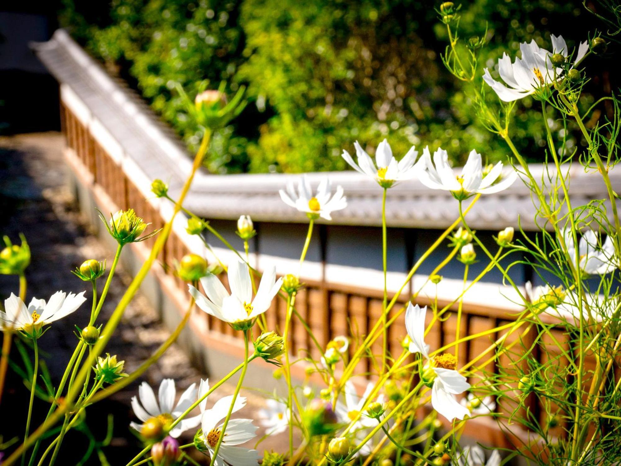 Kita-Kamakura 520 Hotel Ngoại thất bức ảnh